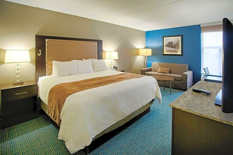 Standard Suite
