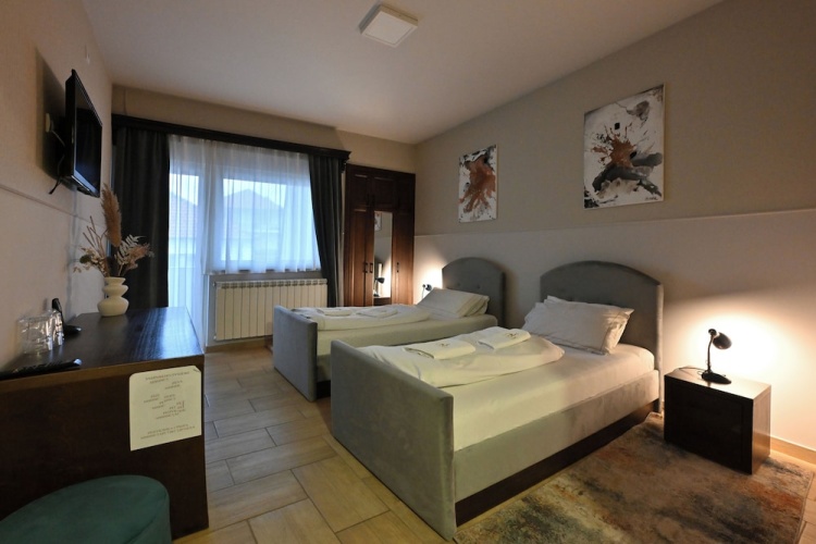 Deluxe Twin room with balcony and with city view
