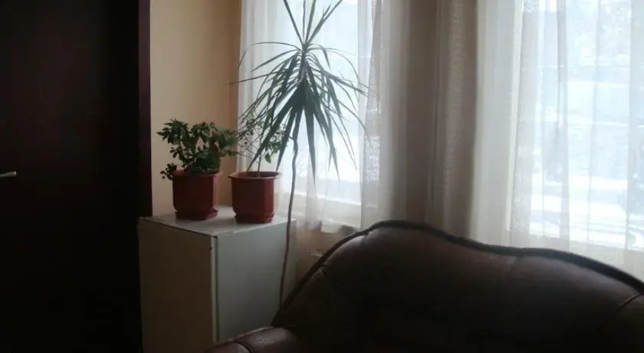 Hotel Detelina