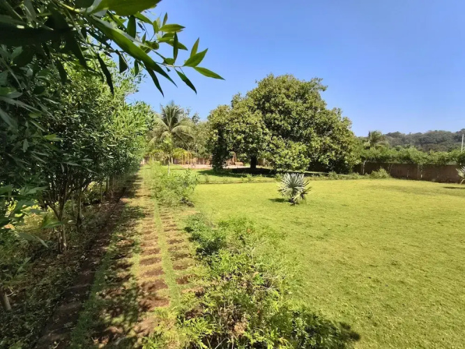 Konkan Pearl Suites