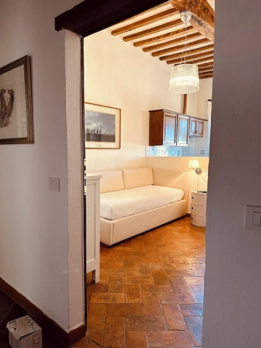 1 Bedroom Comfort Apartment