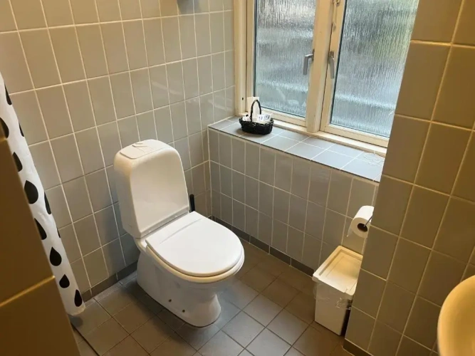 Economy Double Studio
