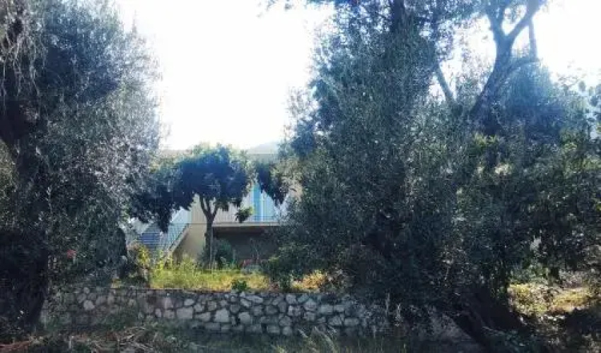 Villa Barbara Sea view 2