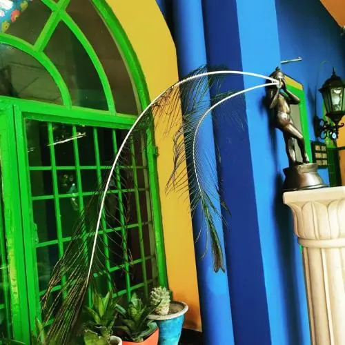 The Coral Tree Homestay