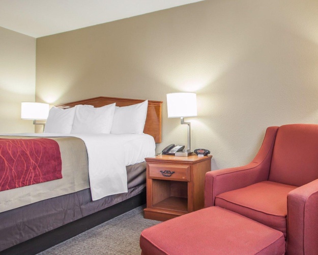 Single Suite