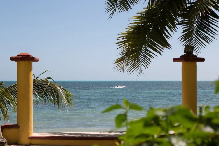 Peaceful & Confortable Oceanfront Studio