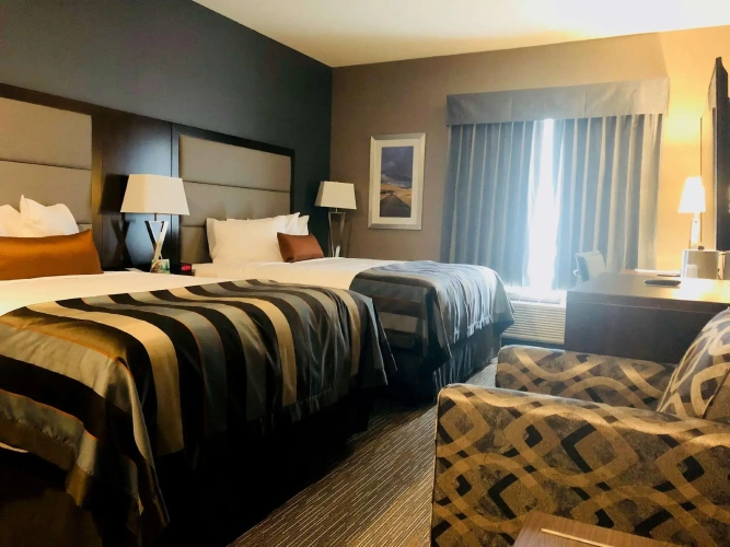 1 Bedroom Quadruple Suite