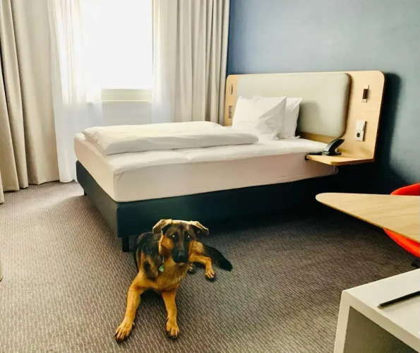 Holiday Inn Express Munich Olching by IHG