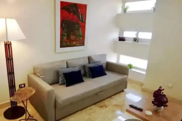 Colonial Modern 1BR APT Colonial Zone