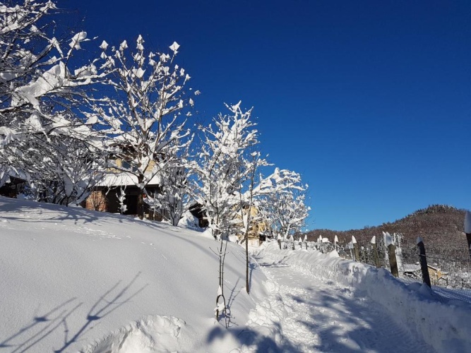 Cottage with view