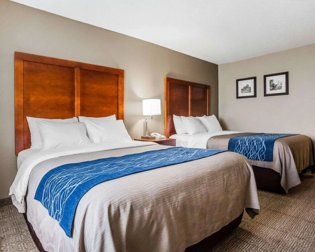 Standard Quadruple room