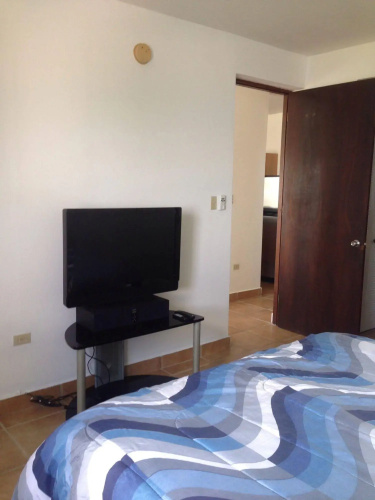 Dolphin Tower Apartment