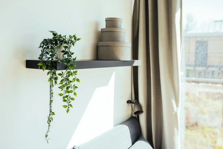 The Rix Studios & Suites