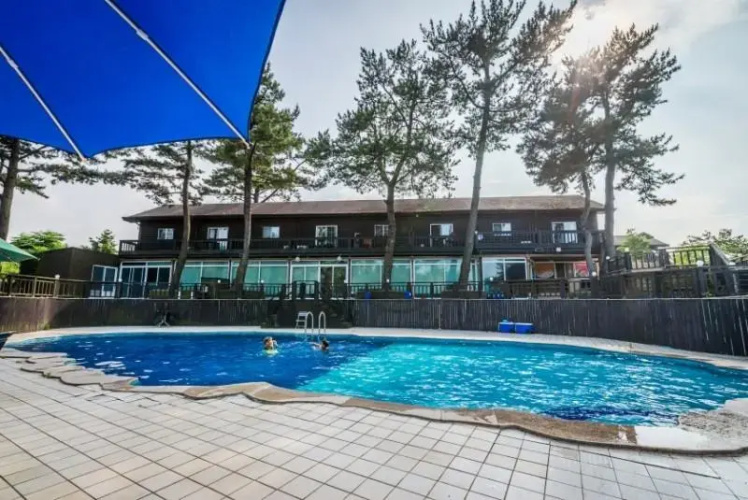 Jeju Solveige Pension
