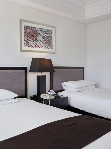 Deluxe Twin room with city view