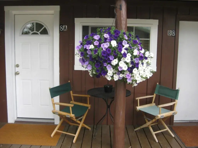 Log Cabin Motel
