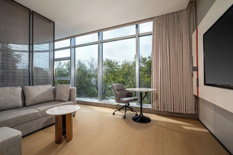 Double Suite with city view