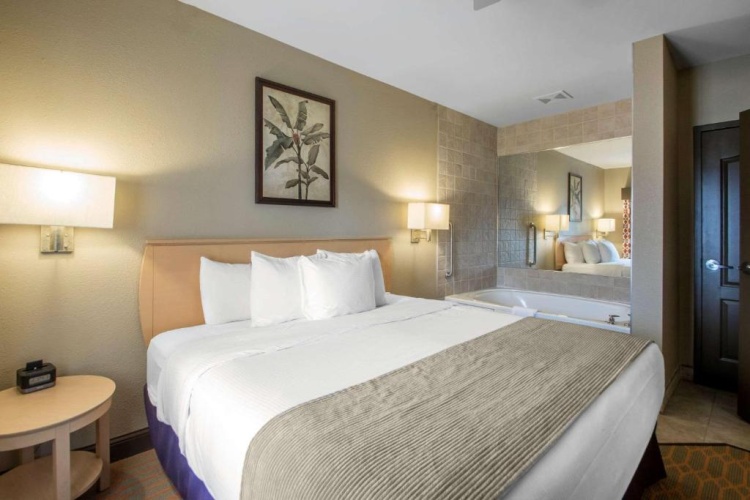 1 Bedroom Suite