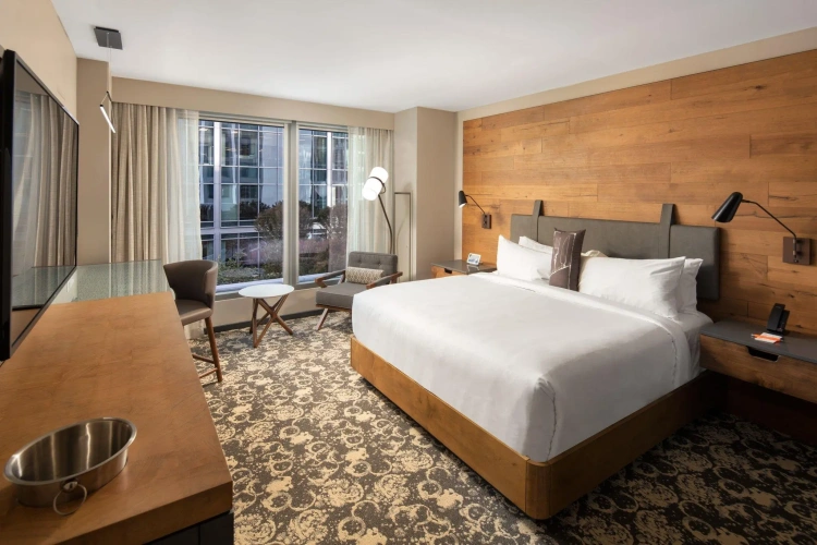 Standard Double room with city view