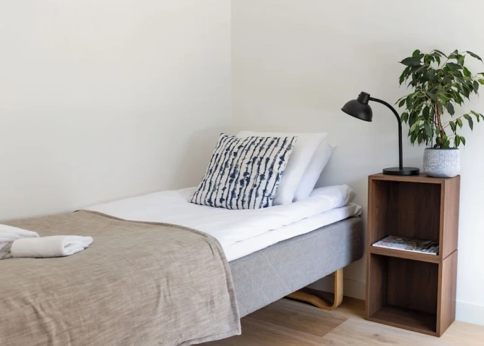 Economy Apartment