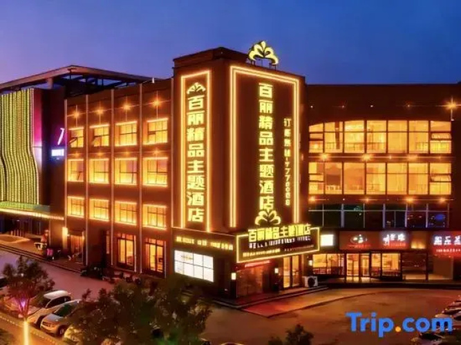 Dongying Belle Boutique Theme Hotel (Haitong Road Food Street Ginza Plaza) - Dongying