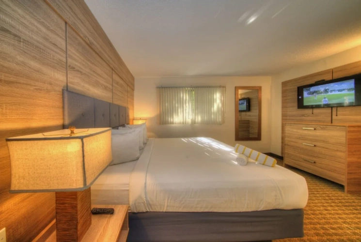 1 Bedroom Deluxe Apartment