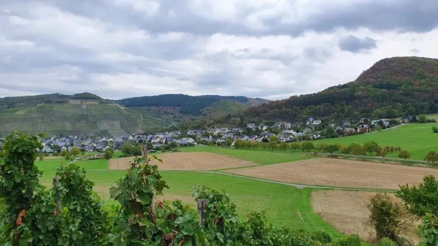 Ferienwohnung Im Moseltal