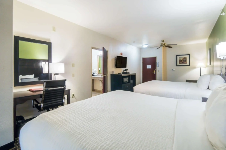 Quadruple Suite