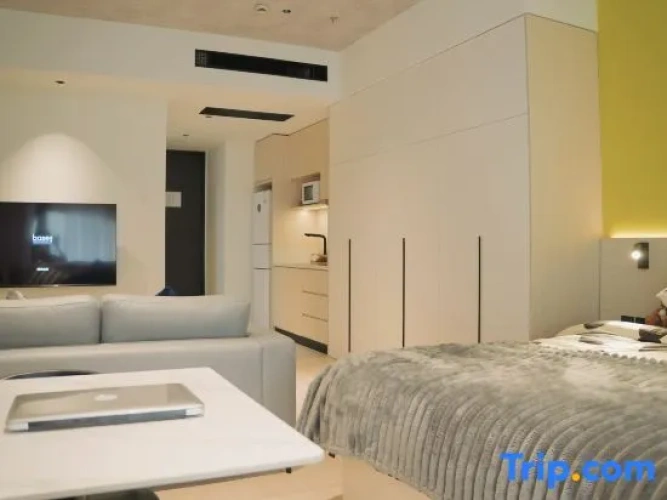 1 Bedroom Standard Apartment