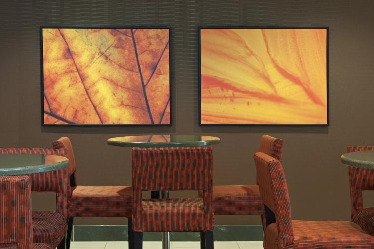 Holiday Inn Chicago West - Itasca