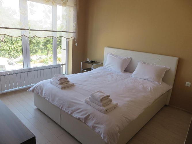 Standard Double room with river view