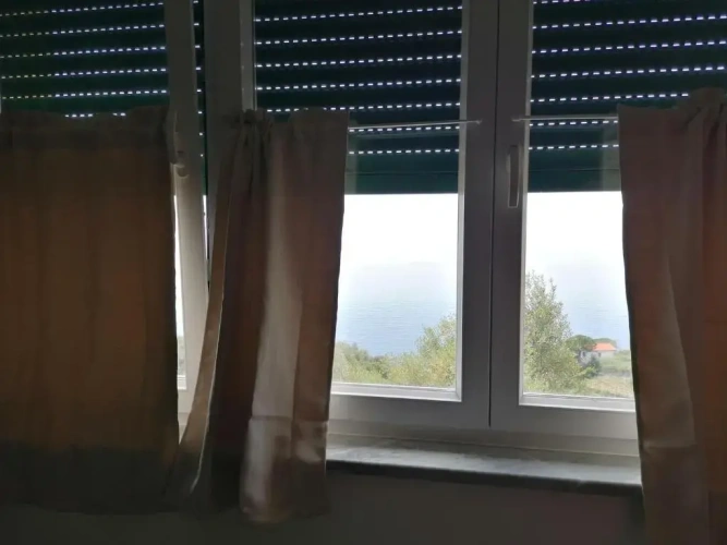 Bed in Dorm with view
