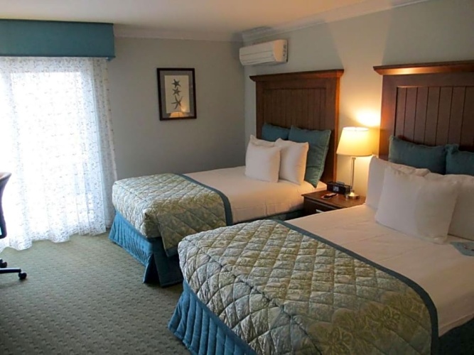 Standard room with garden view