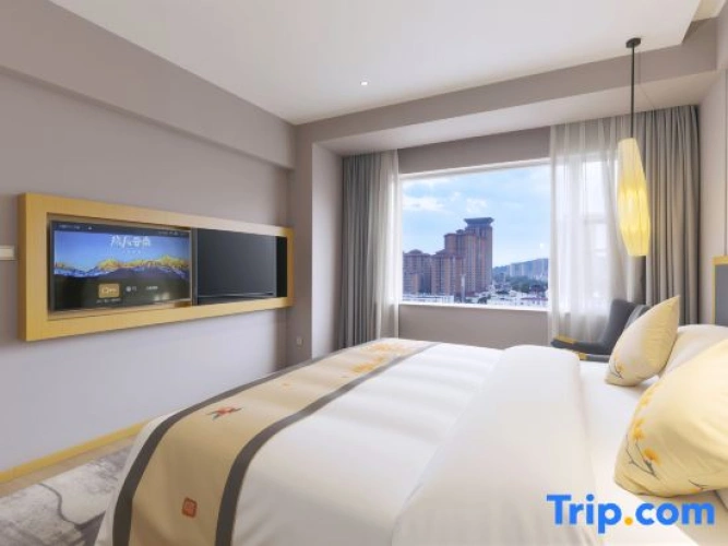 Executive Single room