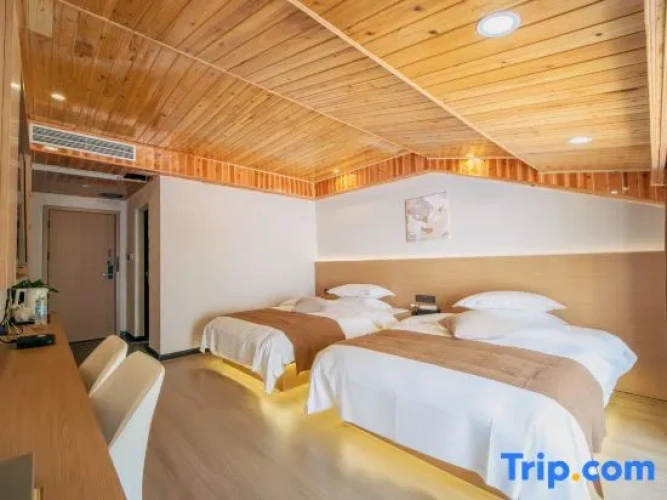 Premium Twin room with mountain view