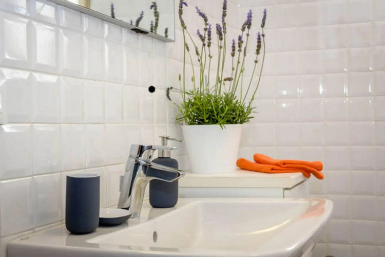 Piccapietra Apartment