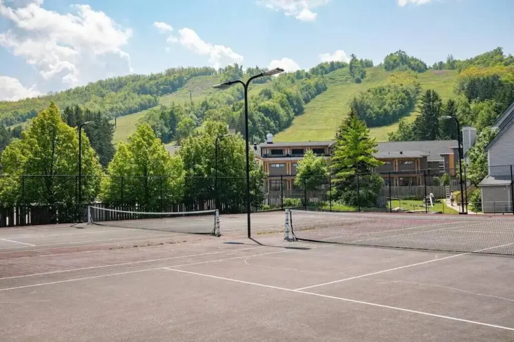 Blue Mountain Suites