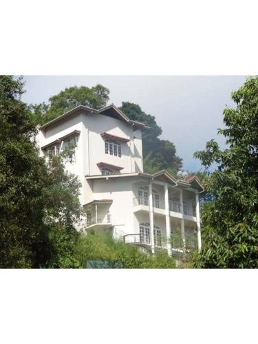 Vista Kandyan Crown
