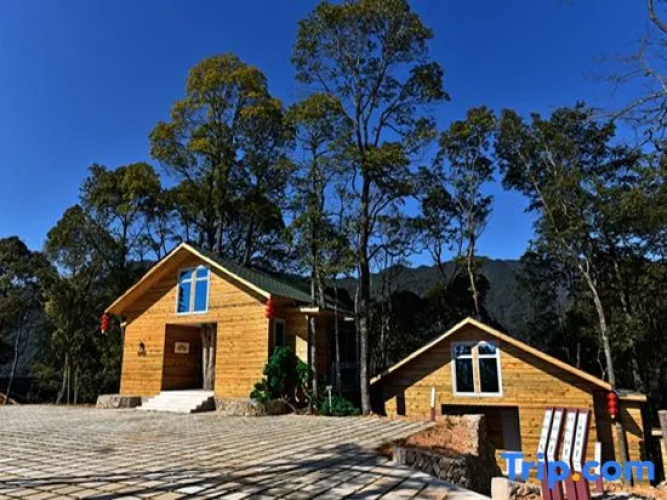 Yinxin'gu Treehouse Hotel