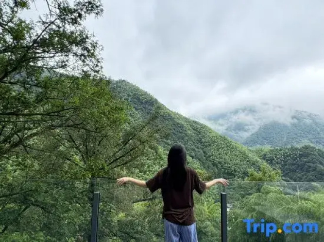 Anji Thirty-Three Villa · Hillside Wild Luxury Private Hot Spring Resort