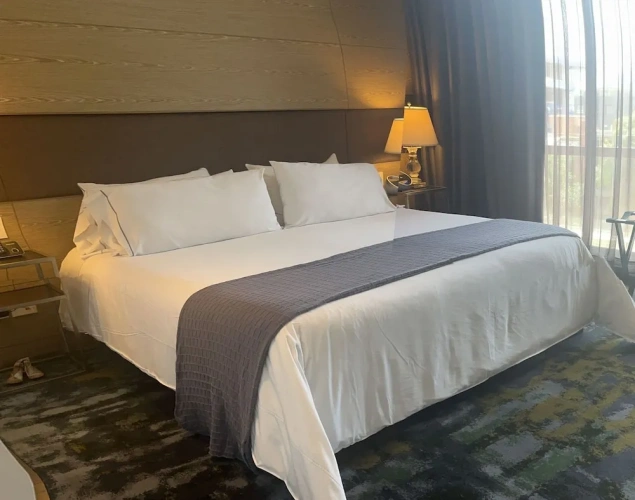 Deluxe room with balcony
