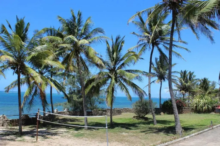 Ocean View Apartment D7