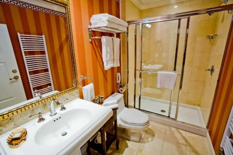 Deluxe Single Suite