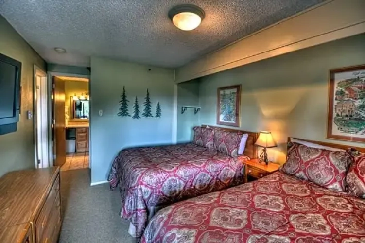 1 Bedroom Deluxe room