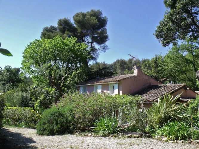 Cottage