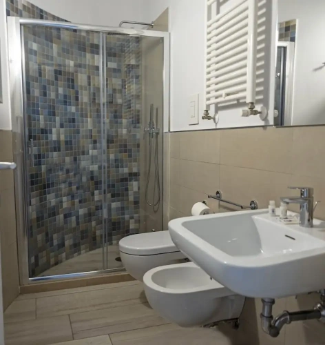 Deluxe Basement room