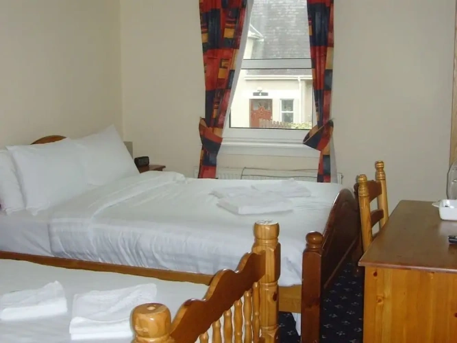 Standard Twin room with view