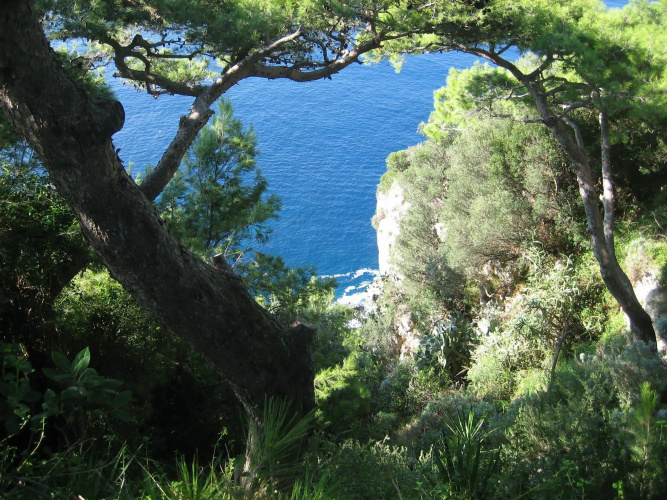 Hotel Etrusco