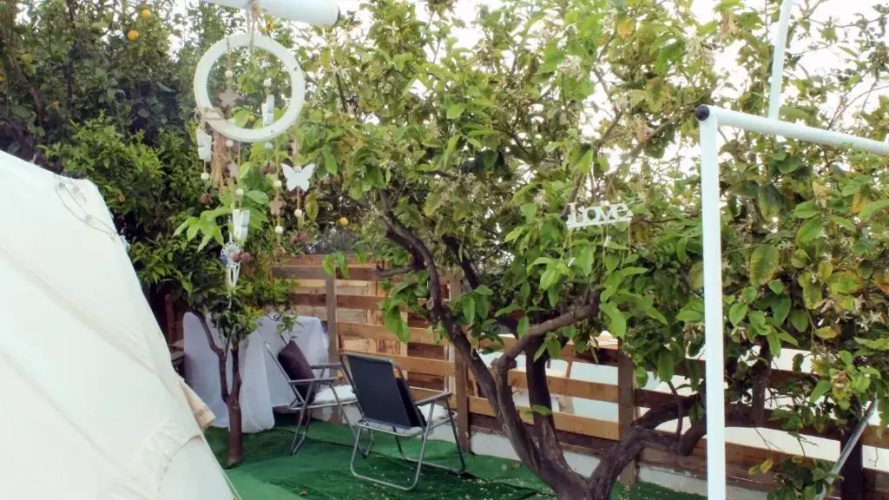 Queens Luxury Glamping 2