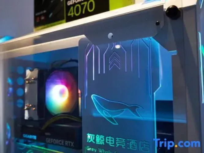 Wuchang Grey Whale E-sports Hotel